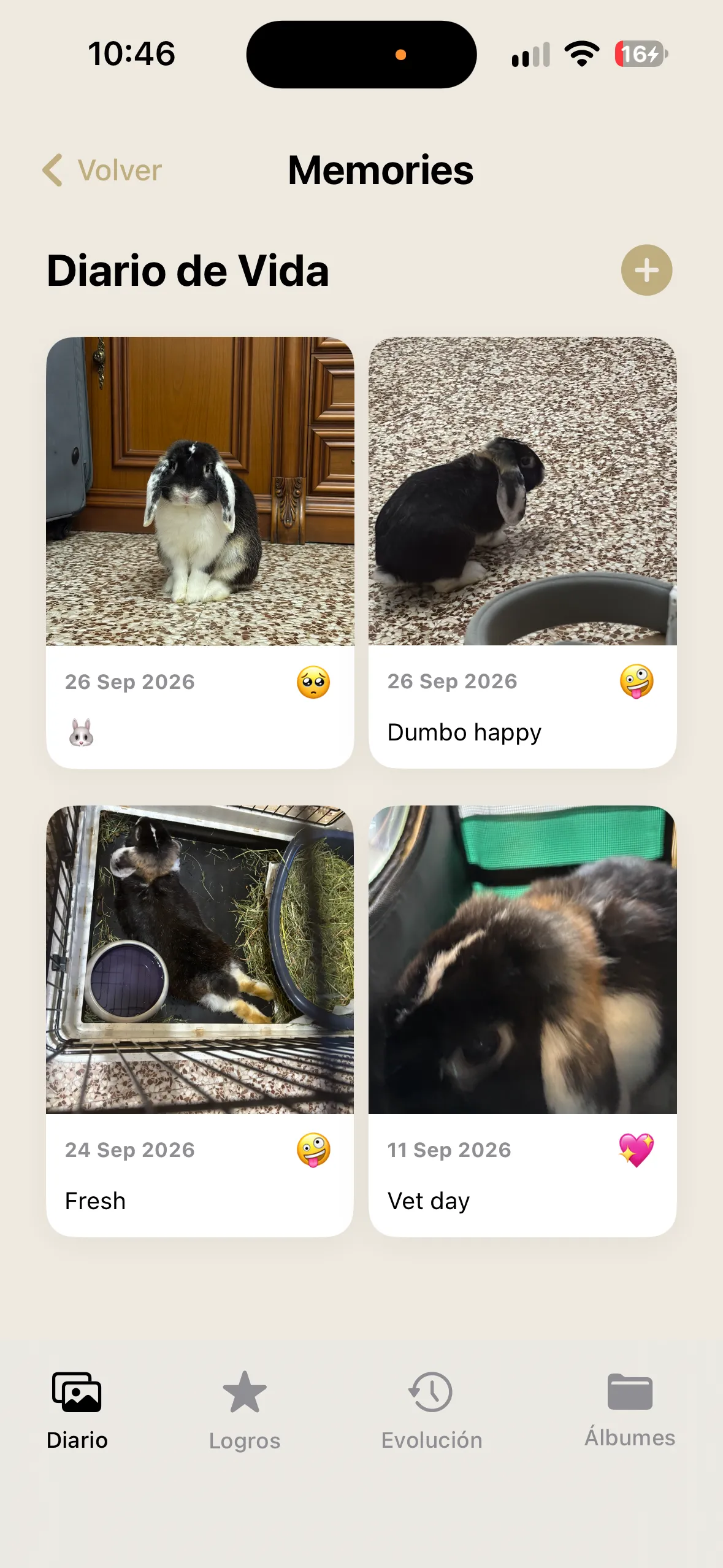 Diario de recuerdos de KoaPet con fotos tipo Polaroid
